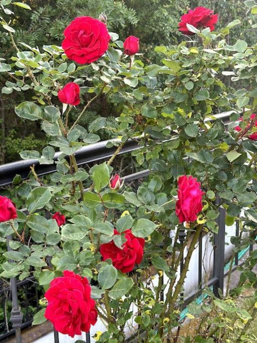 Spacious Fully Furnished Studio In Kavarna Apart Hotel מראה חיצוני תמונה