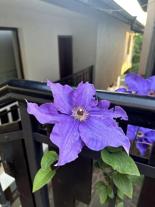 Spacious Fully Furnished Studio In Kavarna Apart Hotel מראה חיצוני תמונה
